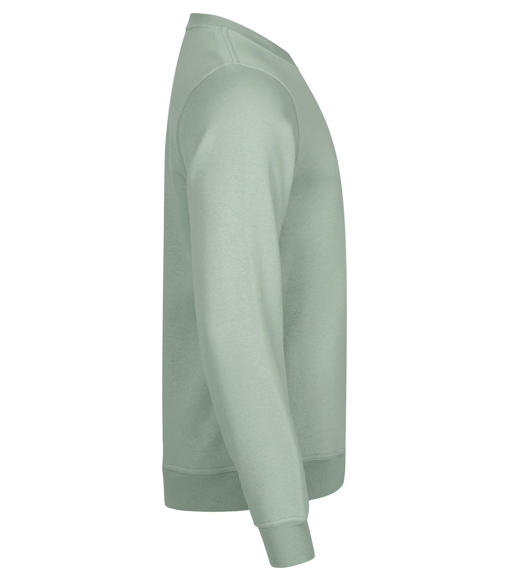 Miami Roundneck