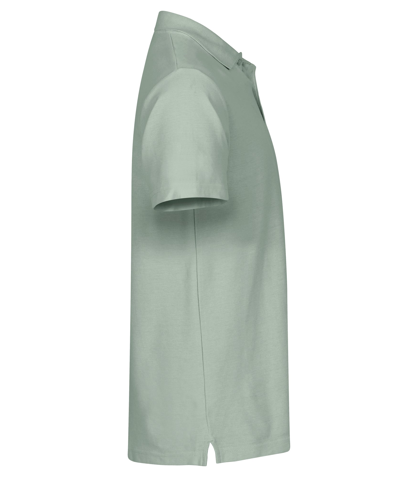 Basic Polo