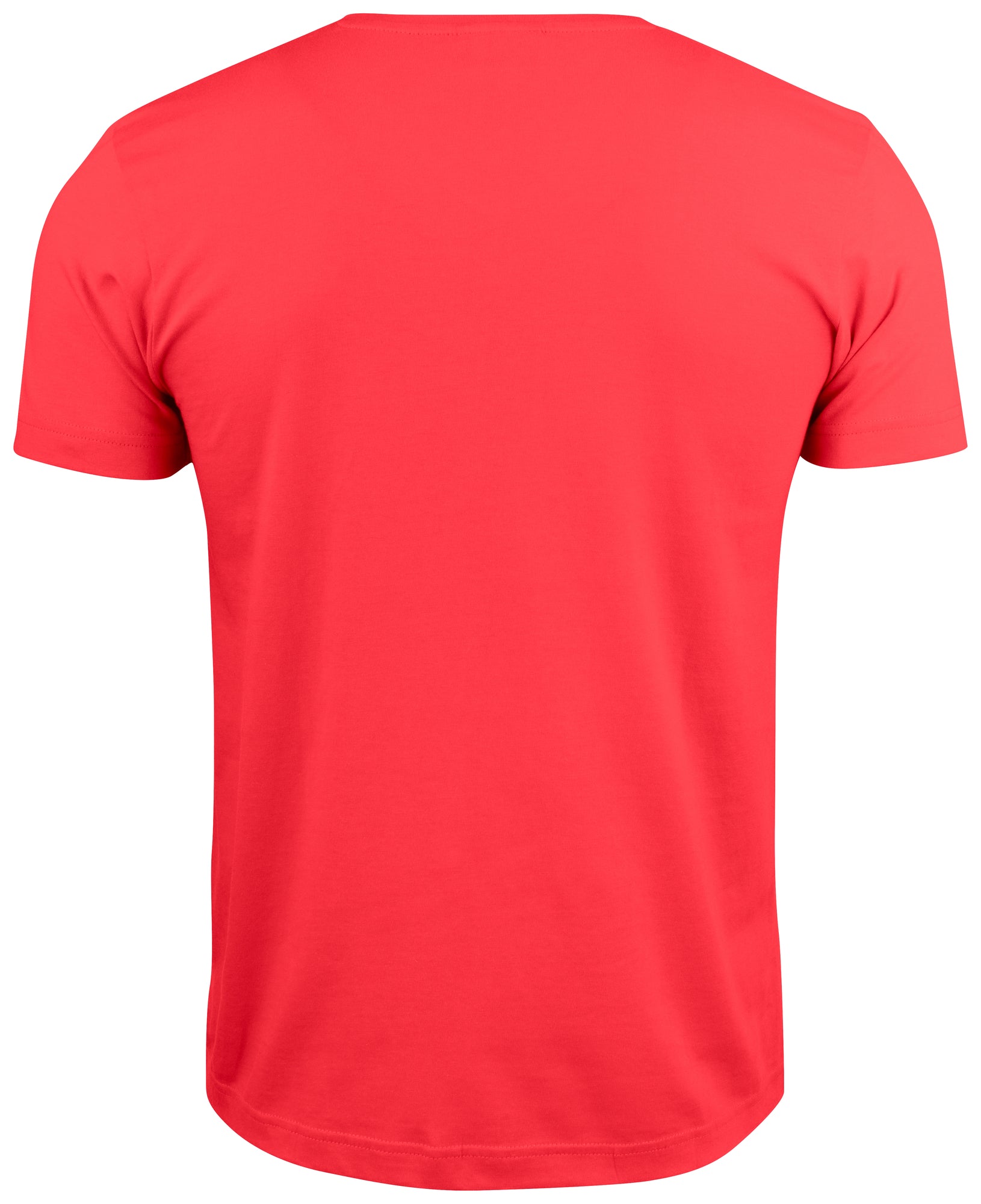 Basic-T V-neck