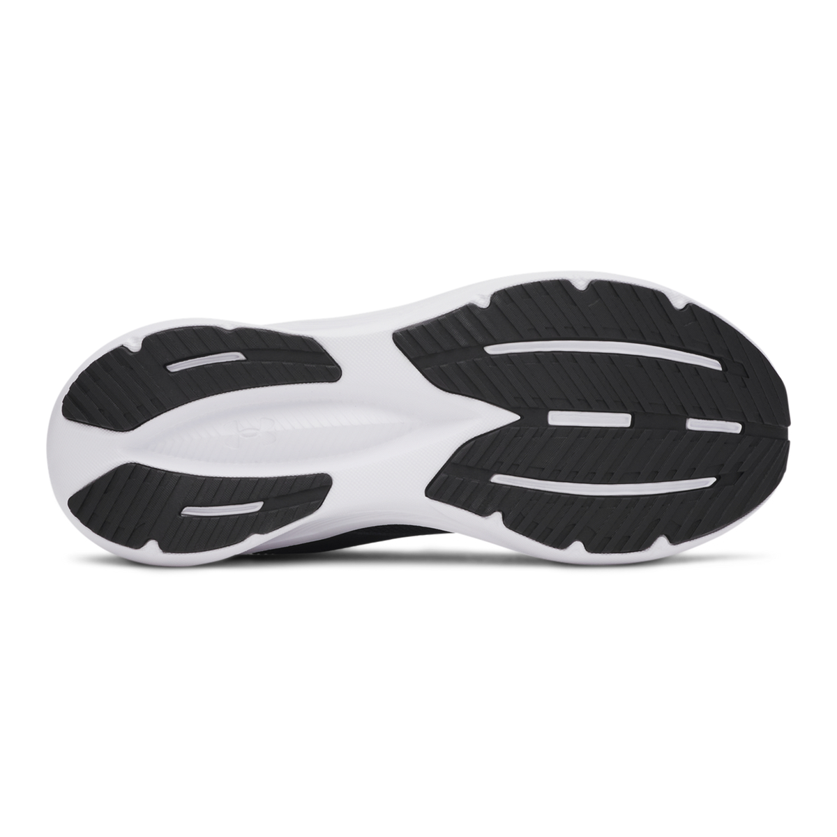 Assert 11 Shoe w