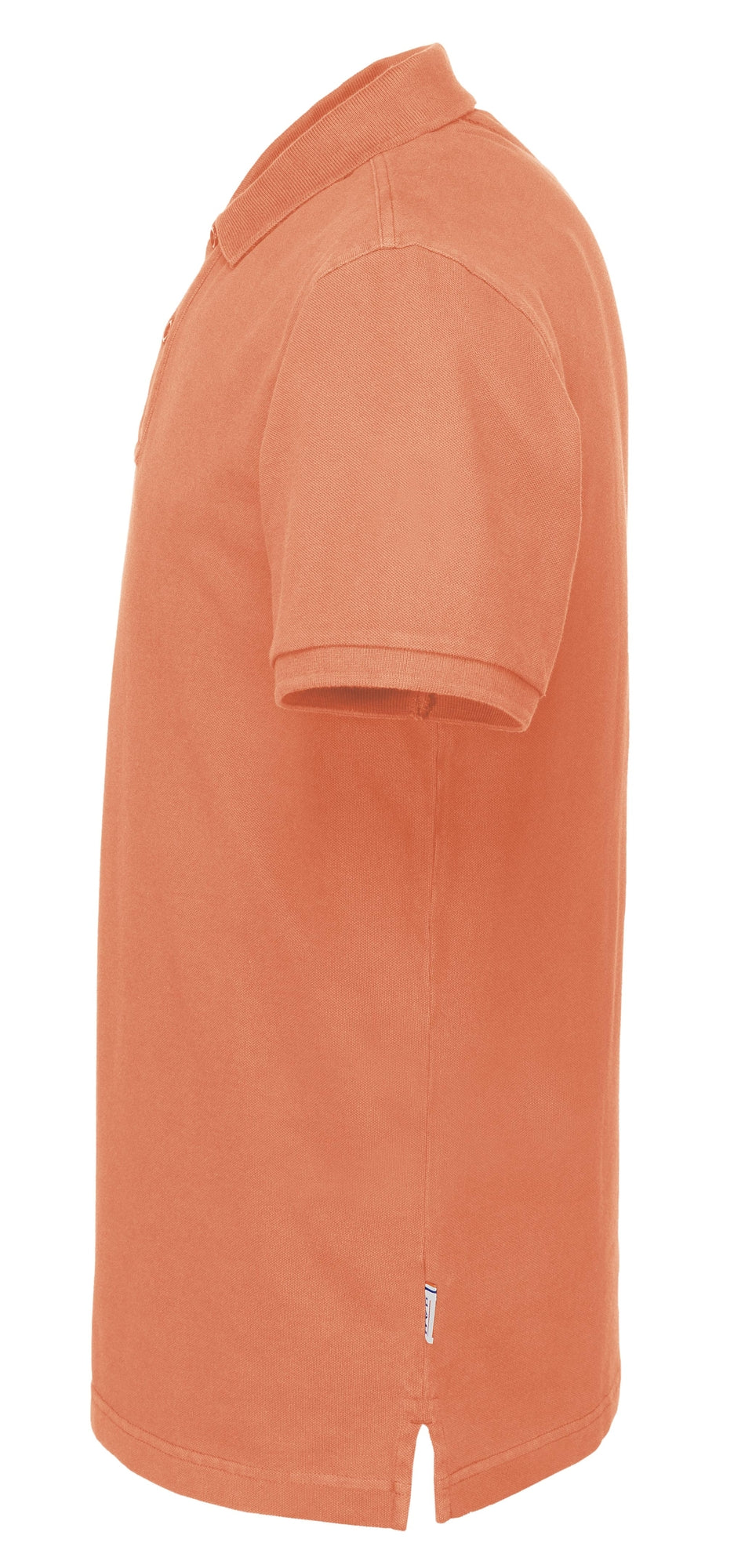 Gifford Peach