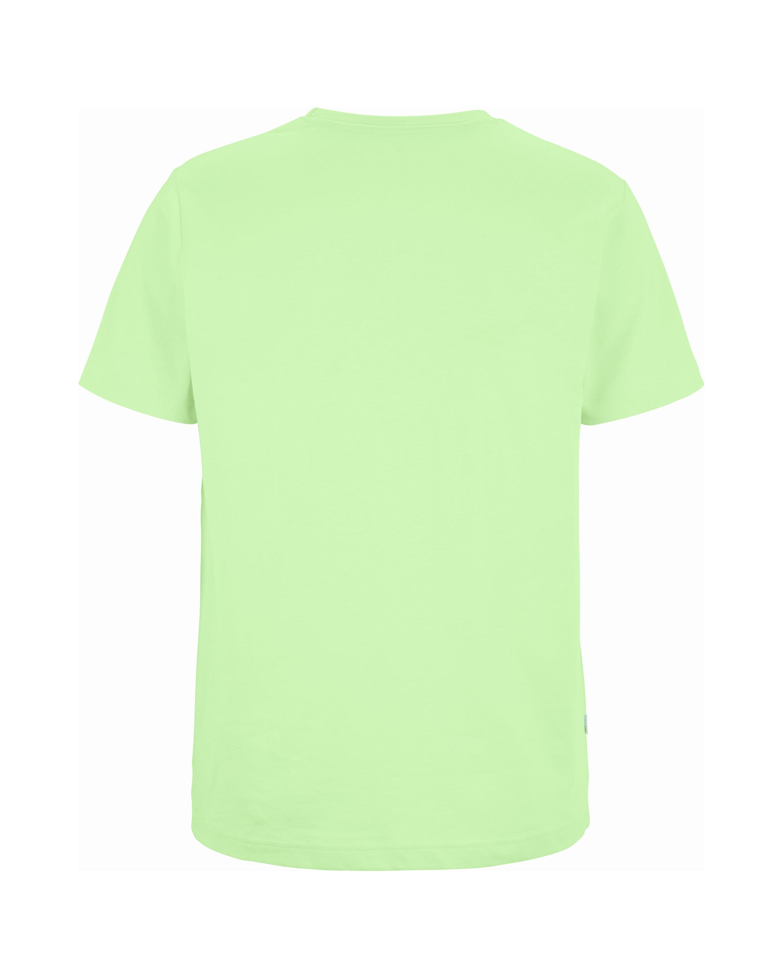 T-shirt Man Mint Green