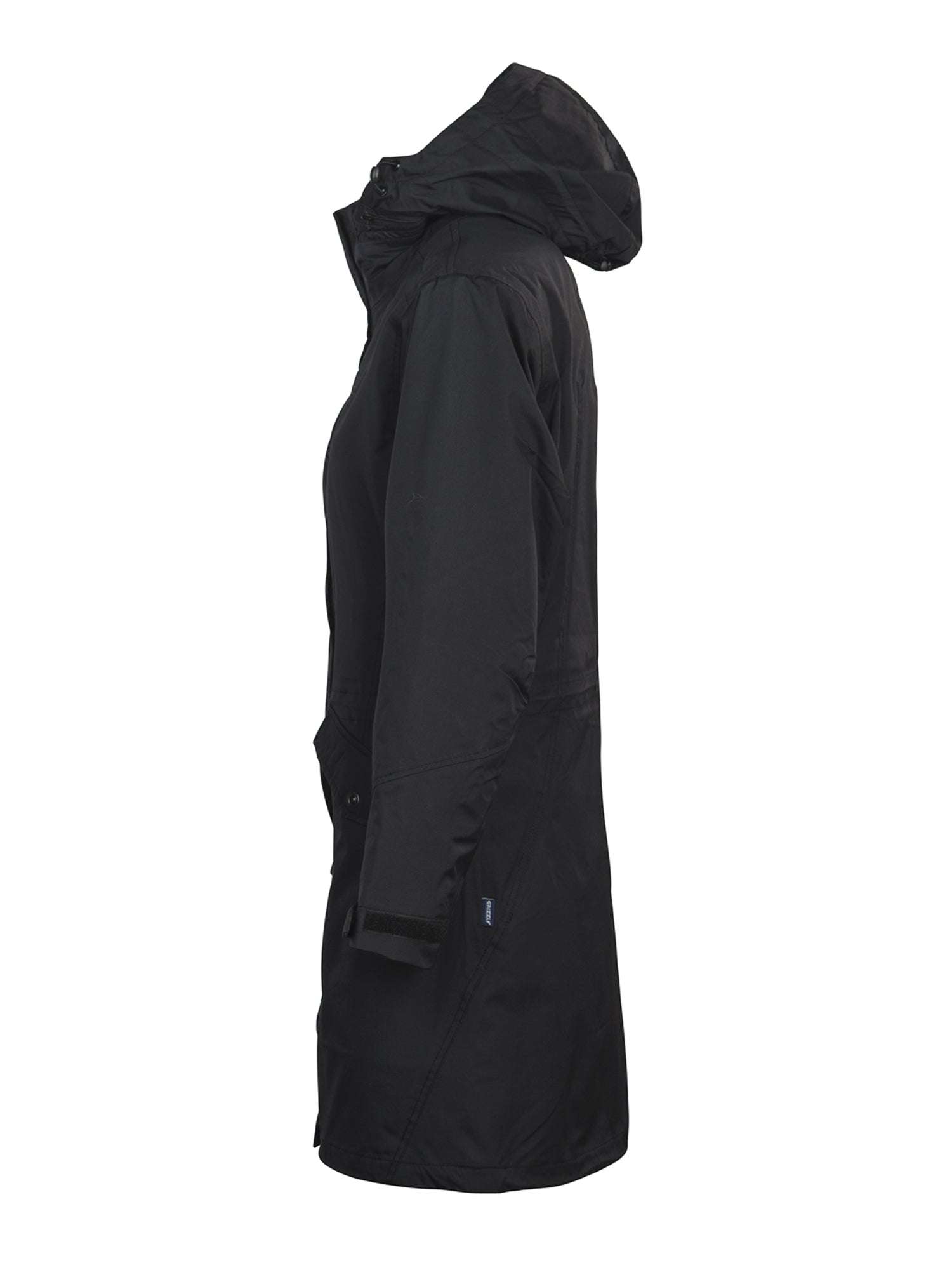 Angus Lady Black