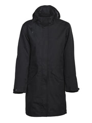 Angus Lady Black
