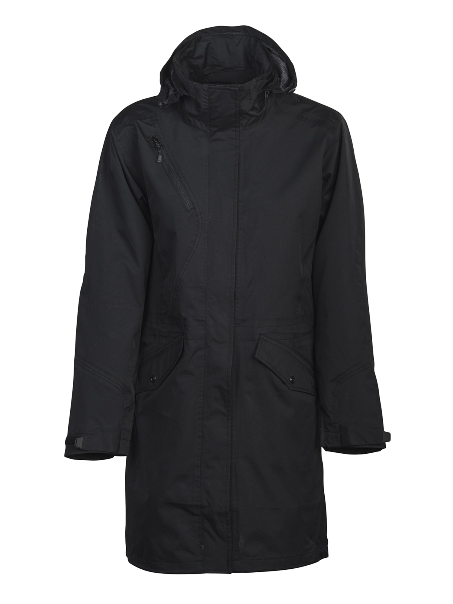 Angus Lady Black