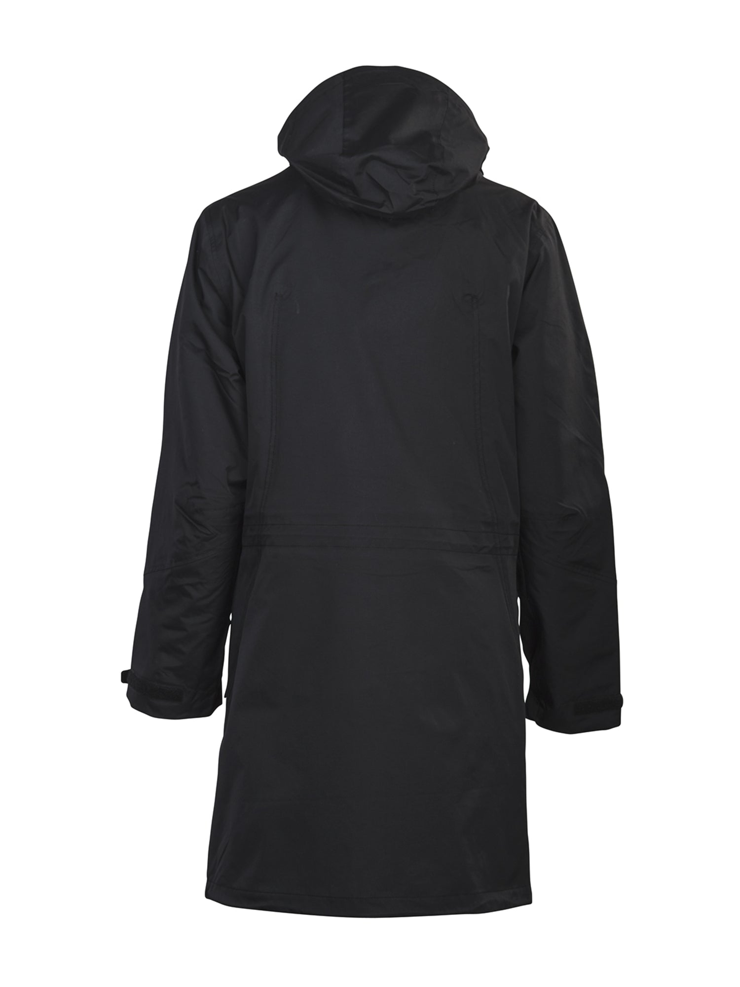 Angus Lady Black