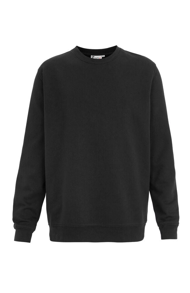 Albany Sweatshirt