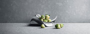 Cobra Bowl Small - FIGJ3586626
