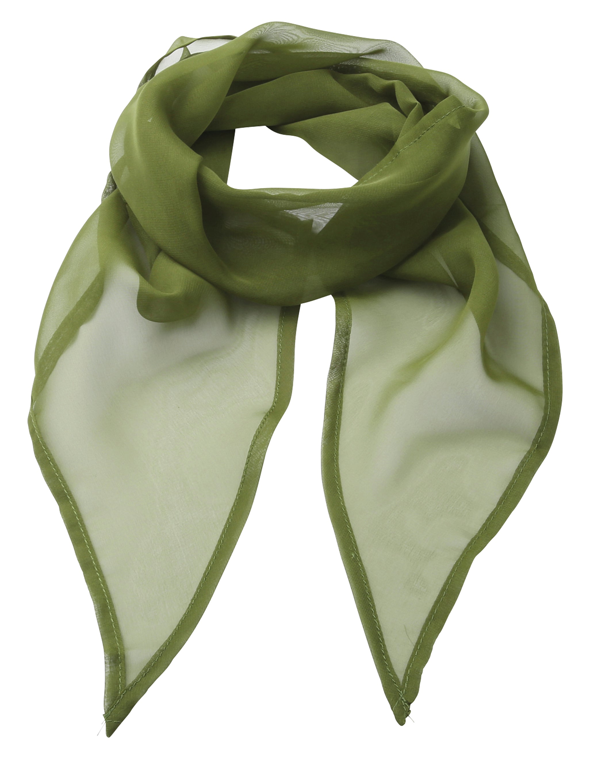 Chiffon Scarf