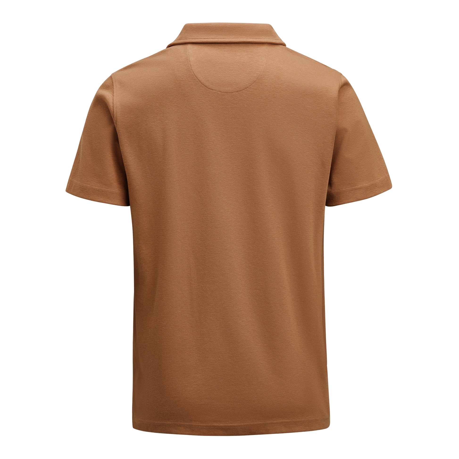 Scarsdale Polo Men Hazel
