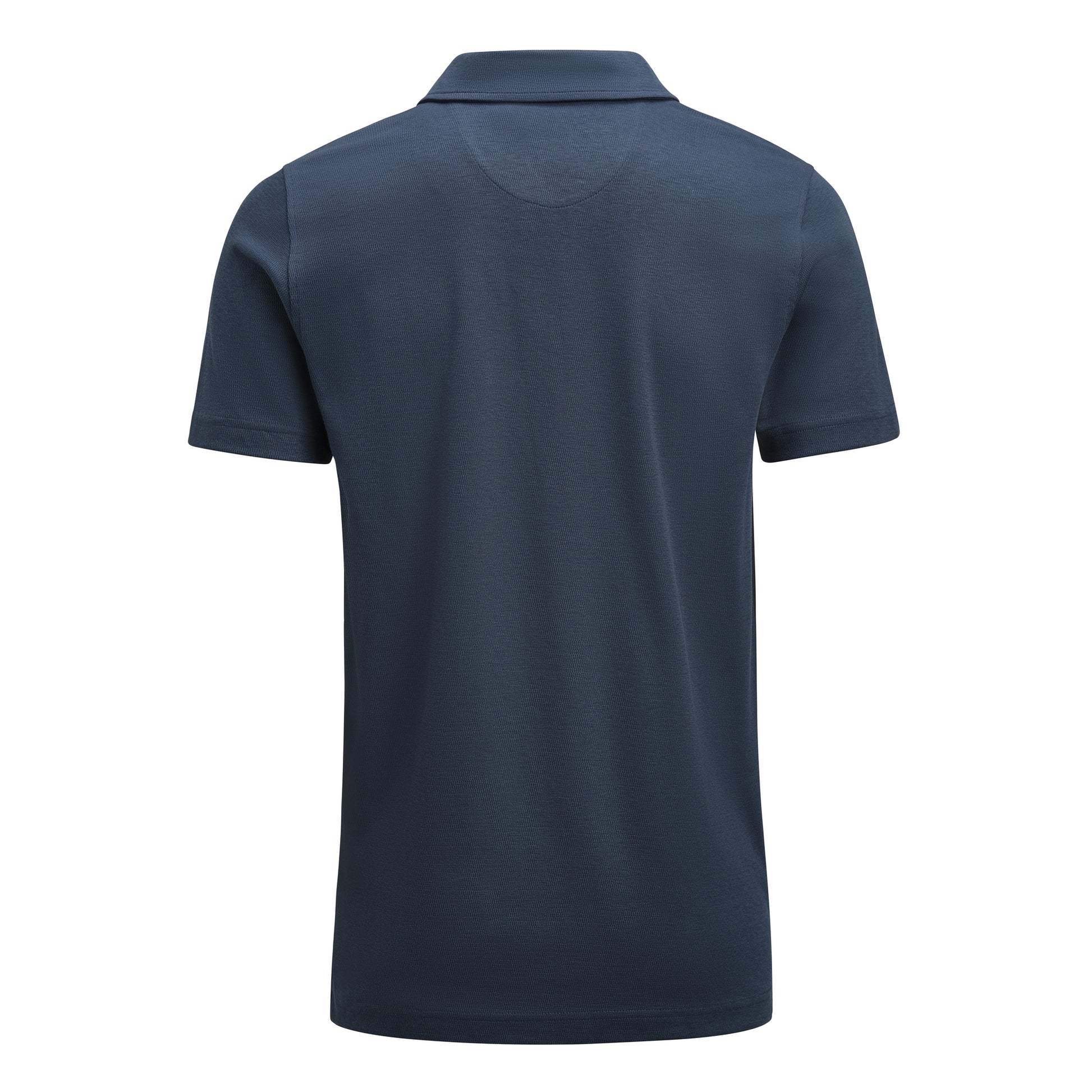 Scarsdale Polo Men Cosmos