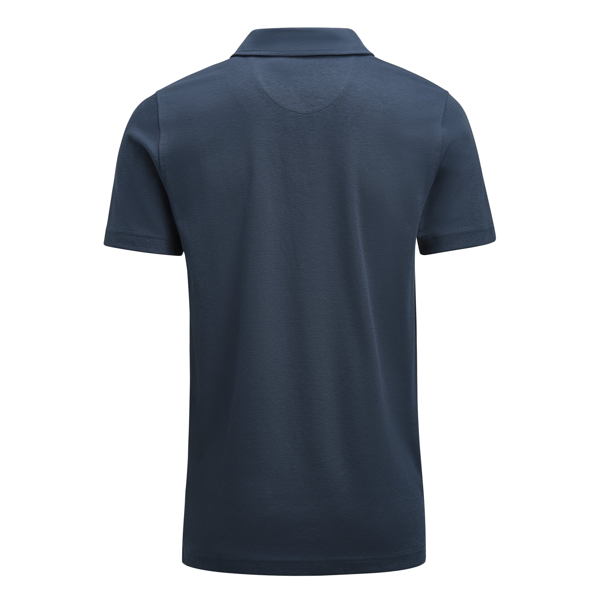 Scarsdale Polo Men Cosmos