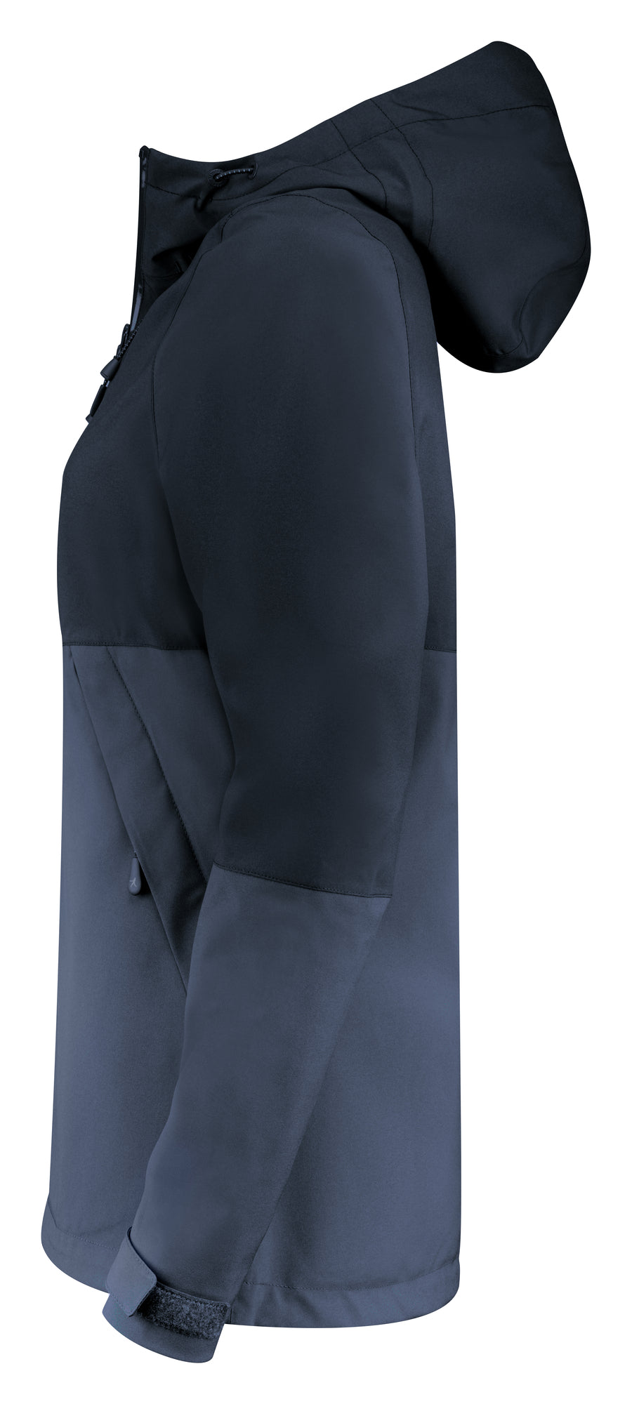 Northville Woman Navy