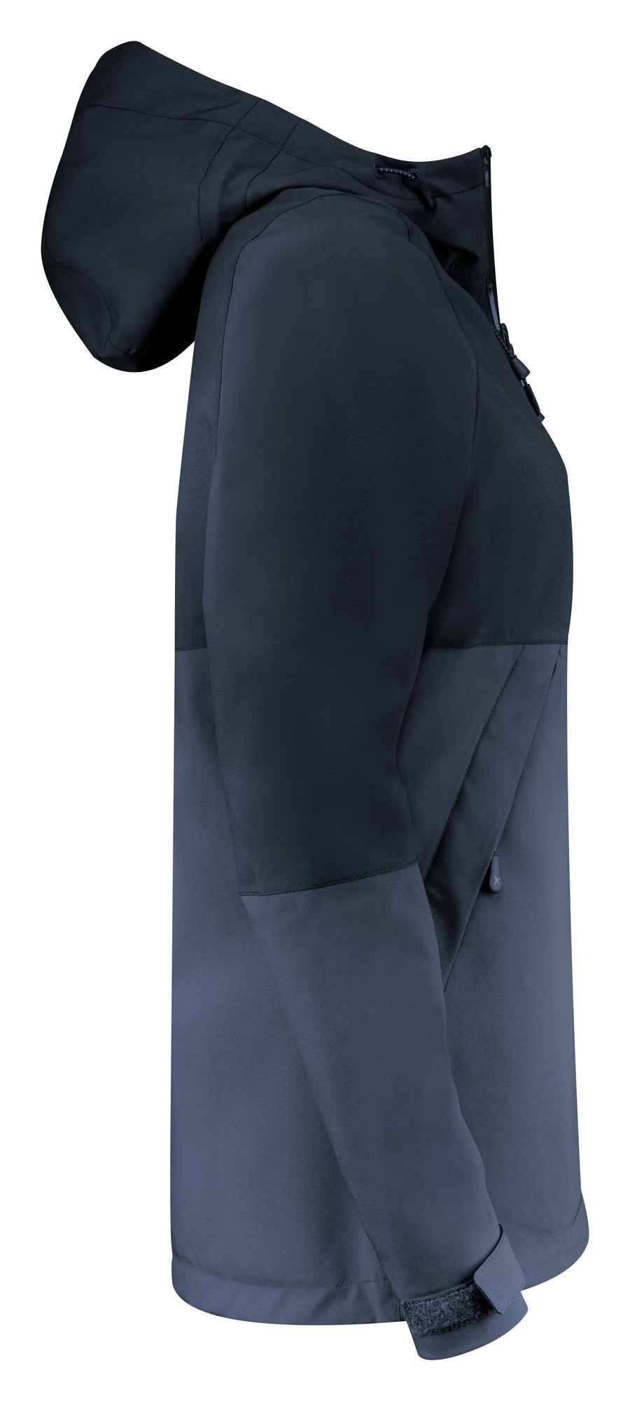 Northville Woman Navy