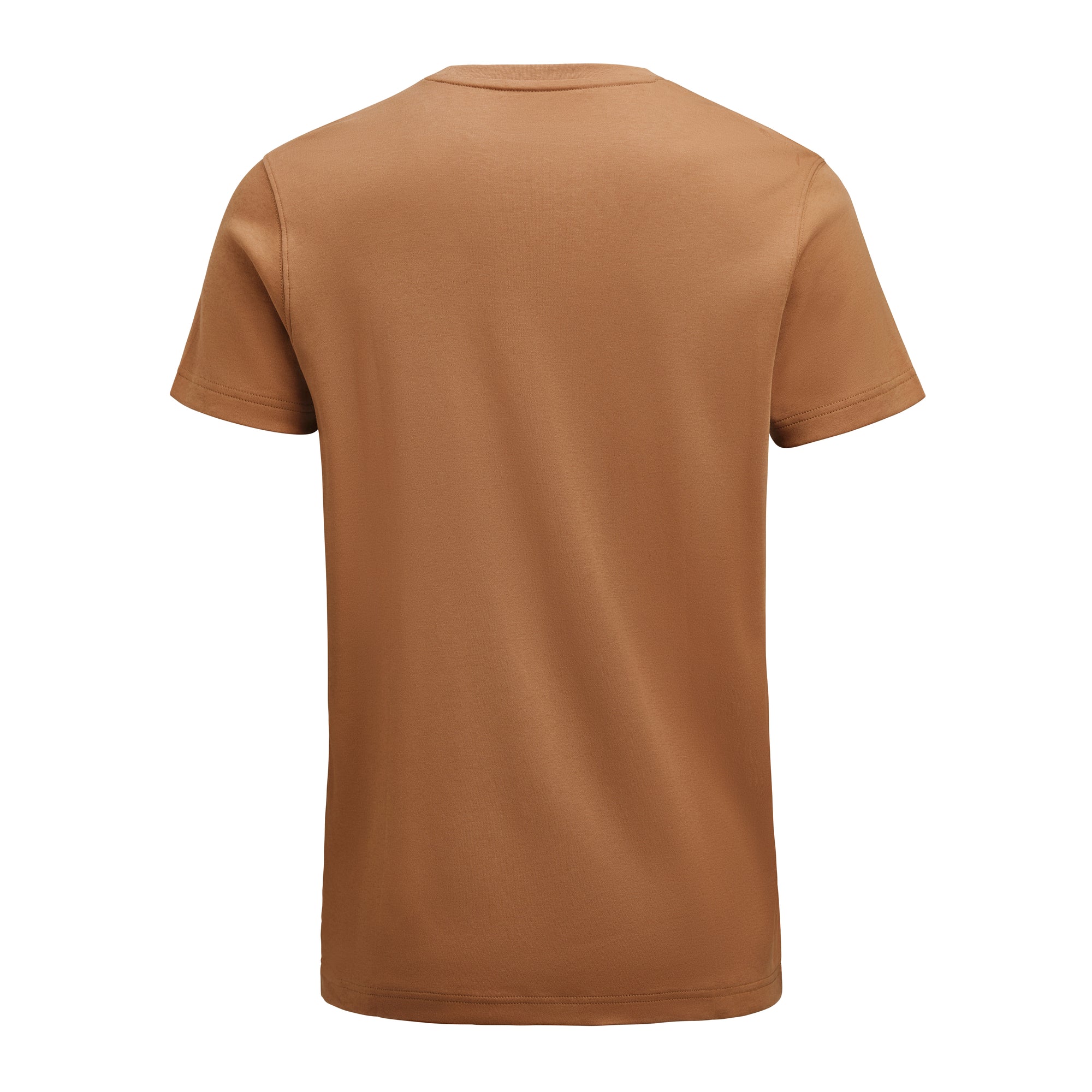 Scarsdale T-Shirt Men Hazel