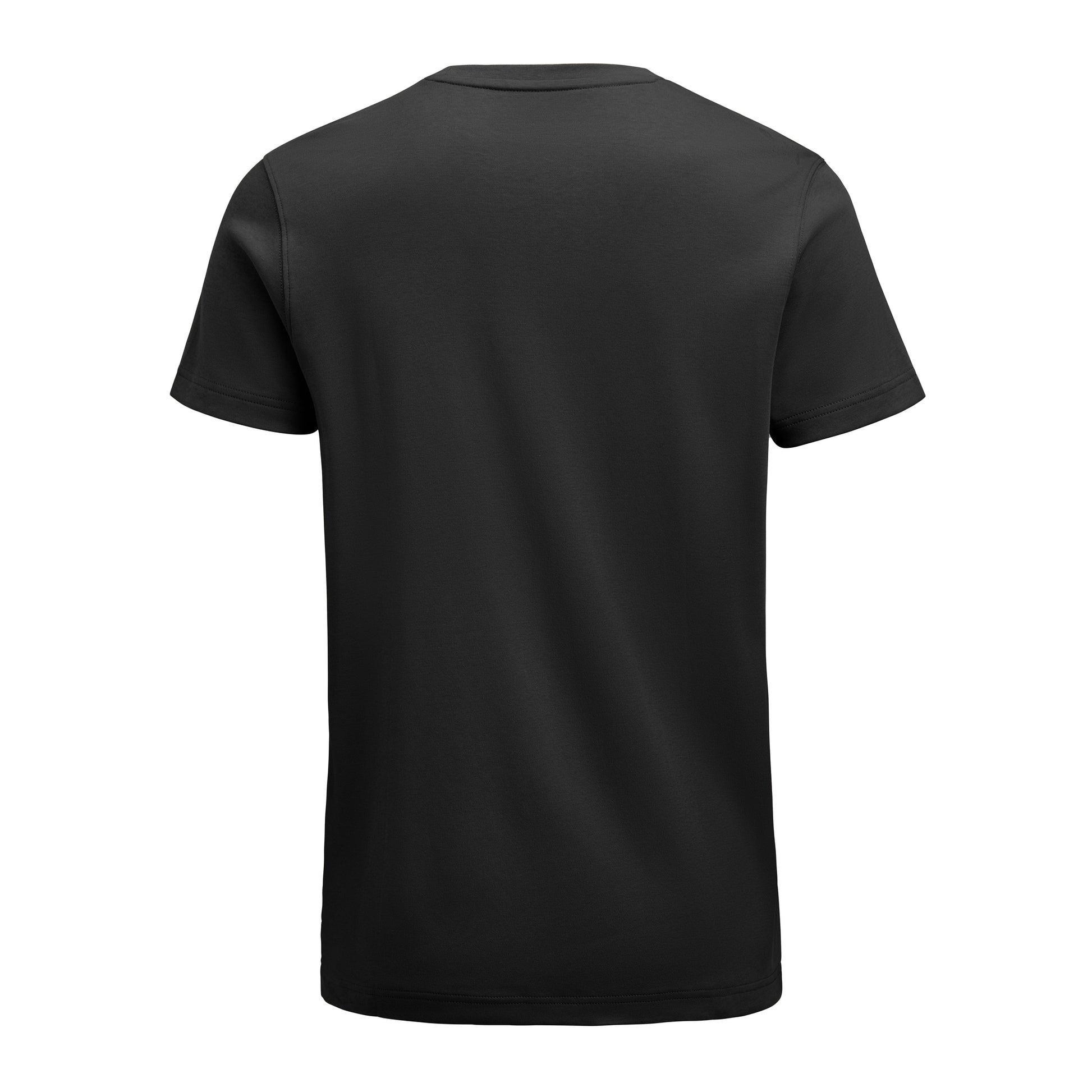 Scarsdale T-Shirt Men Black