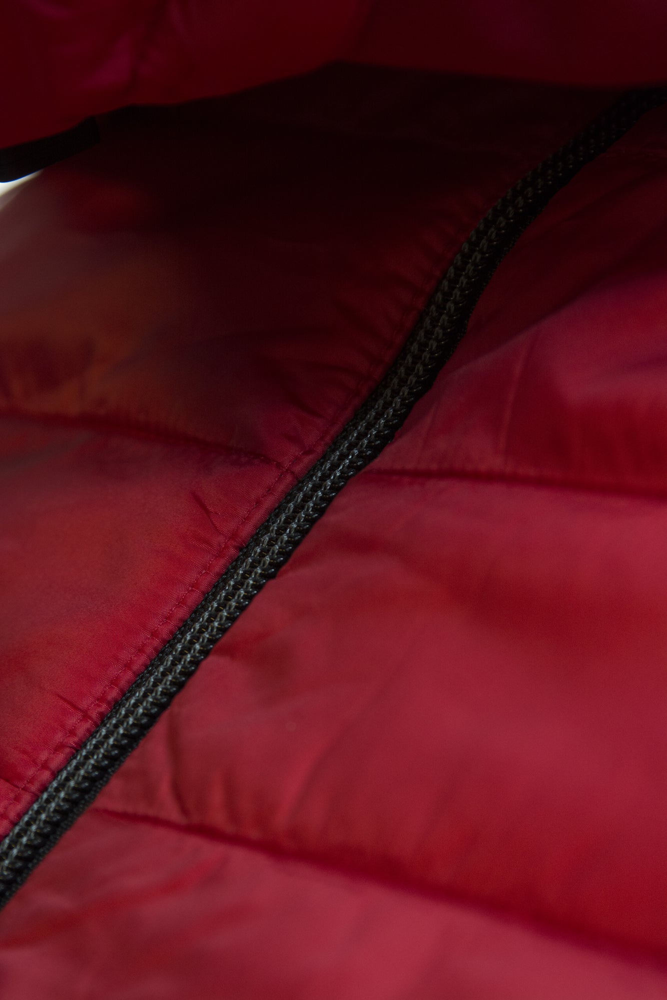 Expedition Vest