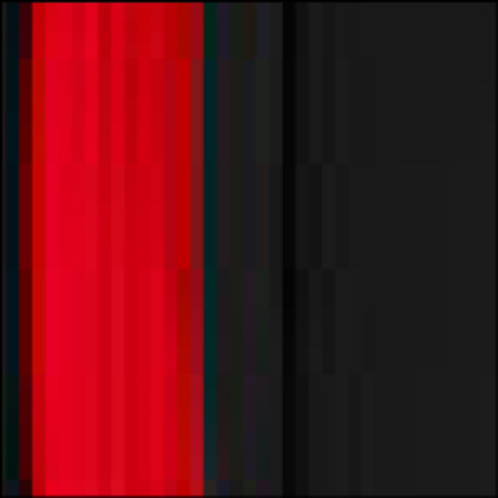 Prime T-shirt LS Lady