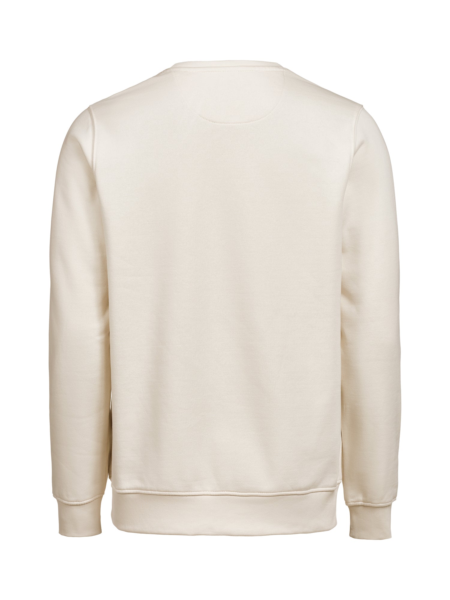UM Crewneck (OCS-RCS)  Regular Fit Unisex