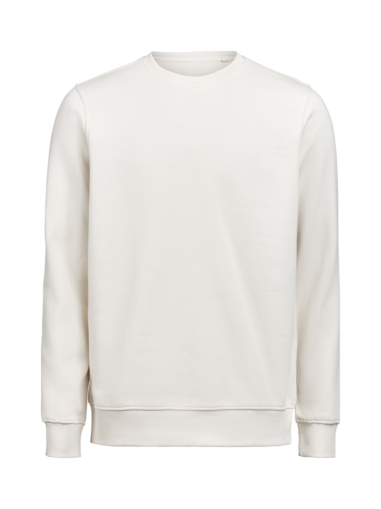 UM Crewneck (OCS-RCS)  Regular Fit Unisex