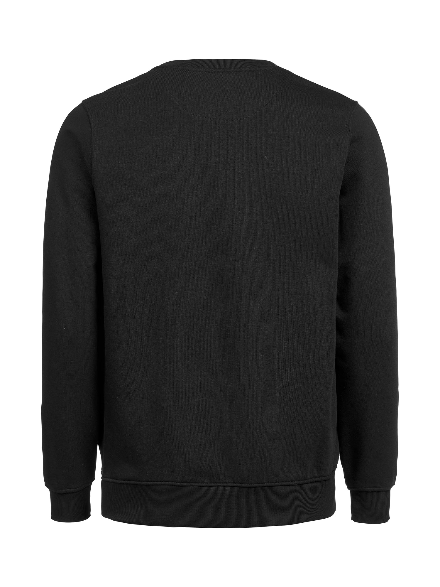 UM Crewneck (OCS-RCS)  Regular Fit Unisex
