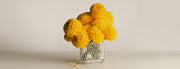 Bernadotte Oval Vase Glass - FIGJ10020607