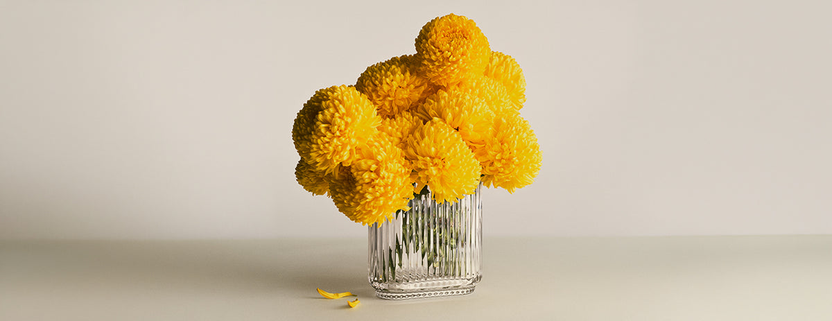 Bernadotte Oval Vase Glass - FIGJ10020607