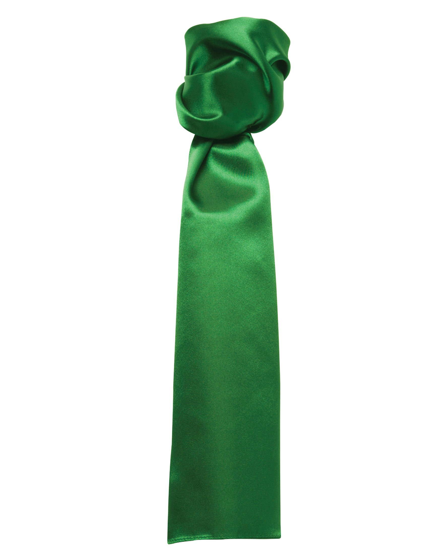 Women's Business Scarf - P730
