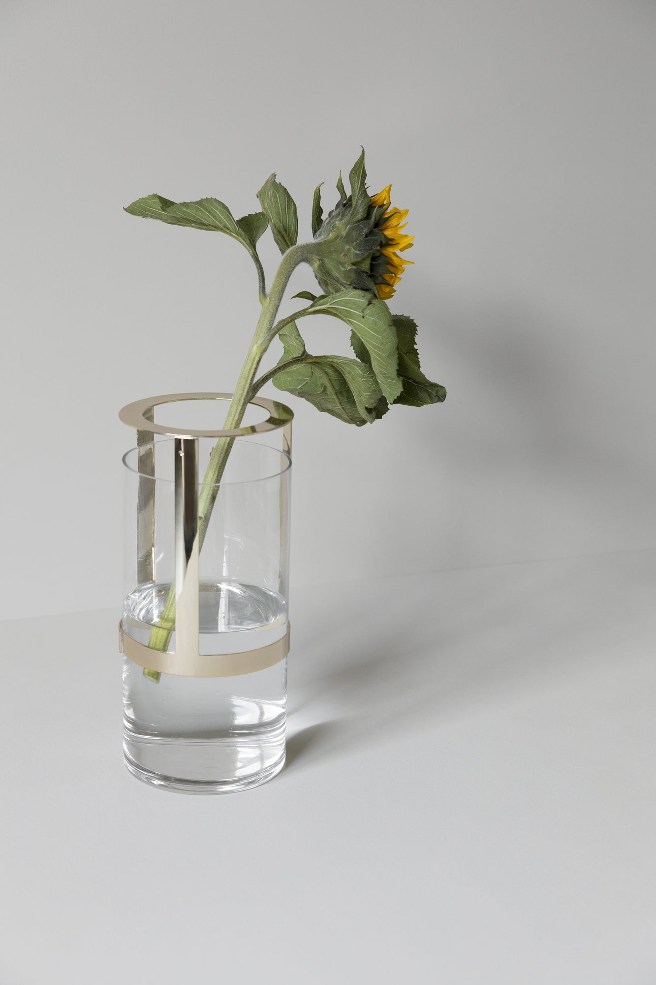 Hold Vase, Medium