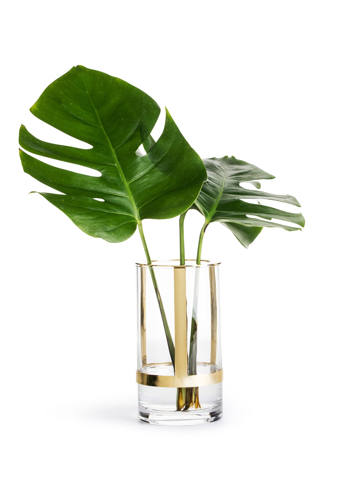 Hold Vase, Medium