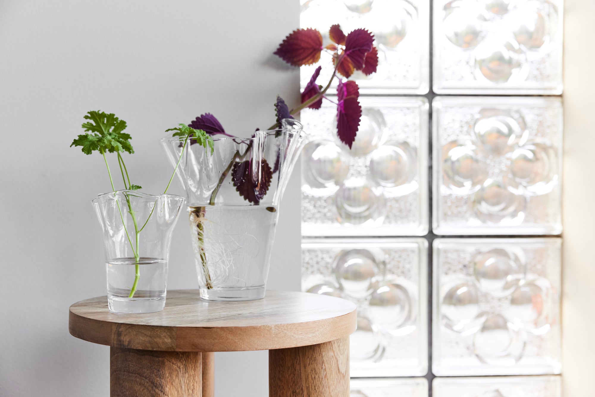 Viva Vase, Stor