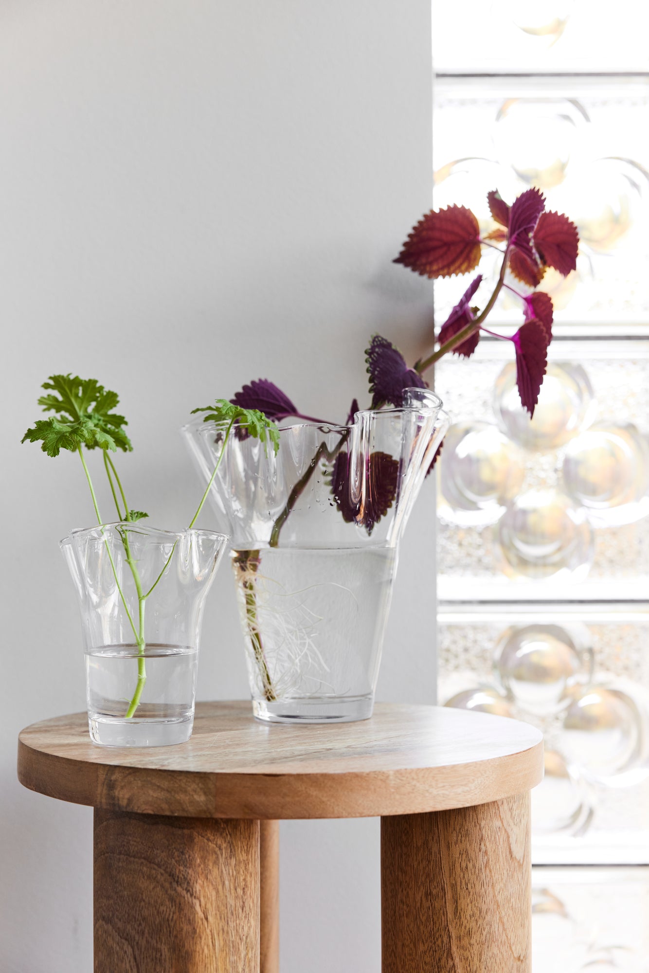 Viva Vase, Liten, Klar