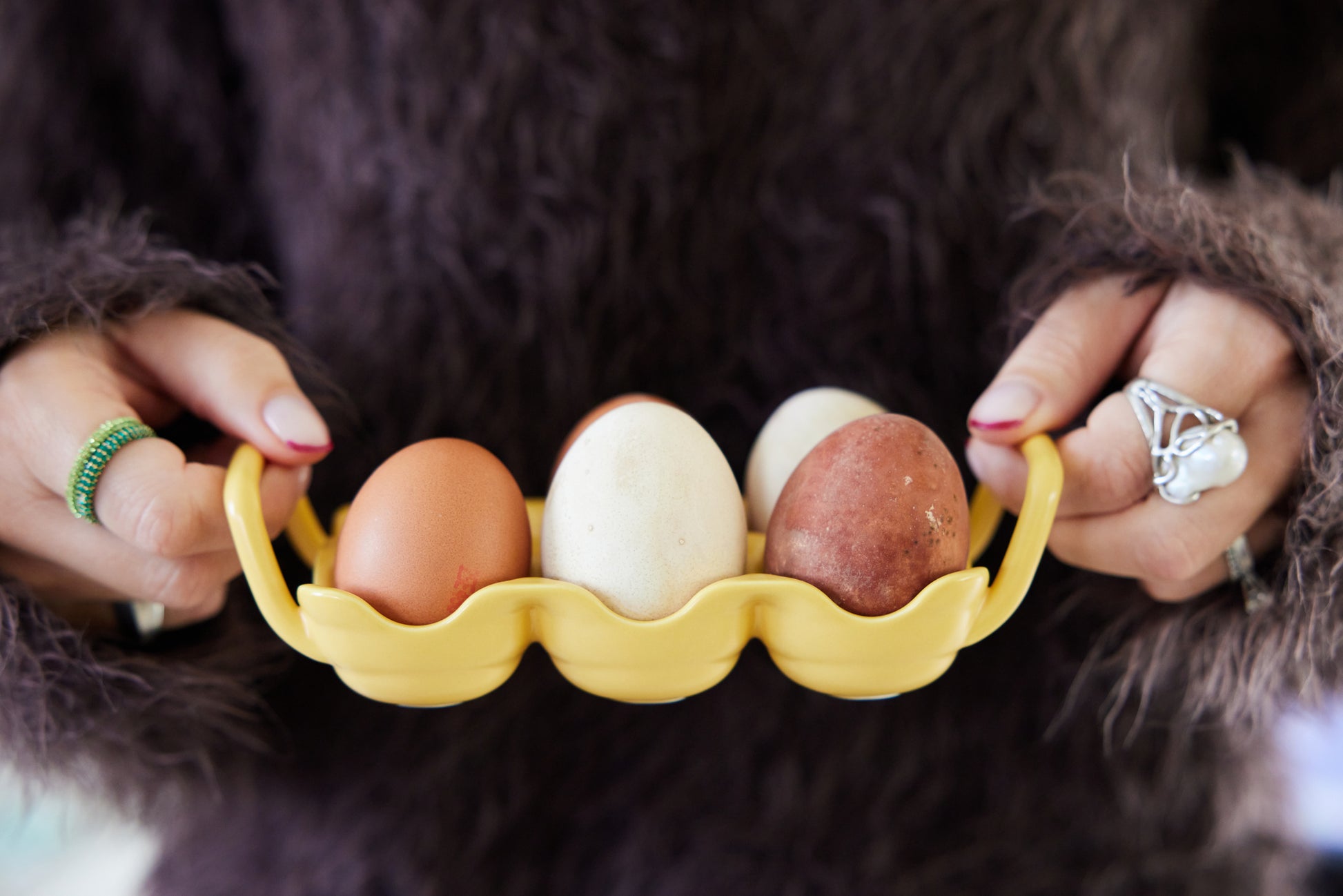 Ellen eggebrett