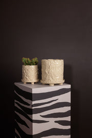 Potte Muddy S