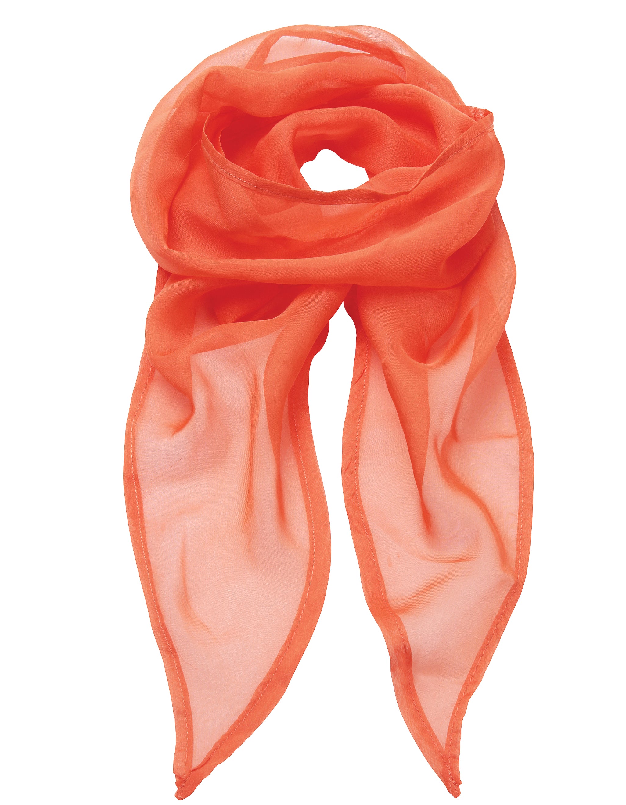 Chiffon Scarf