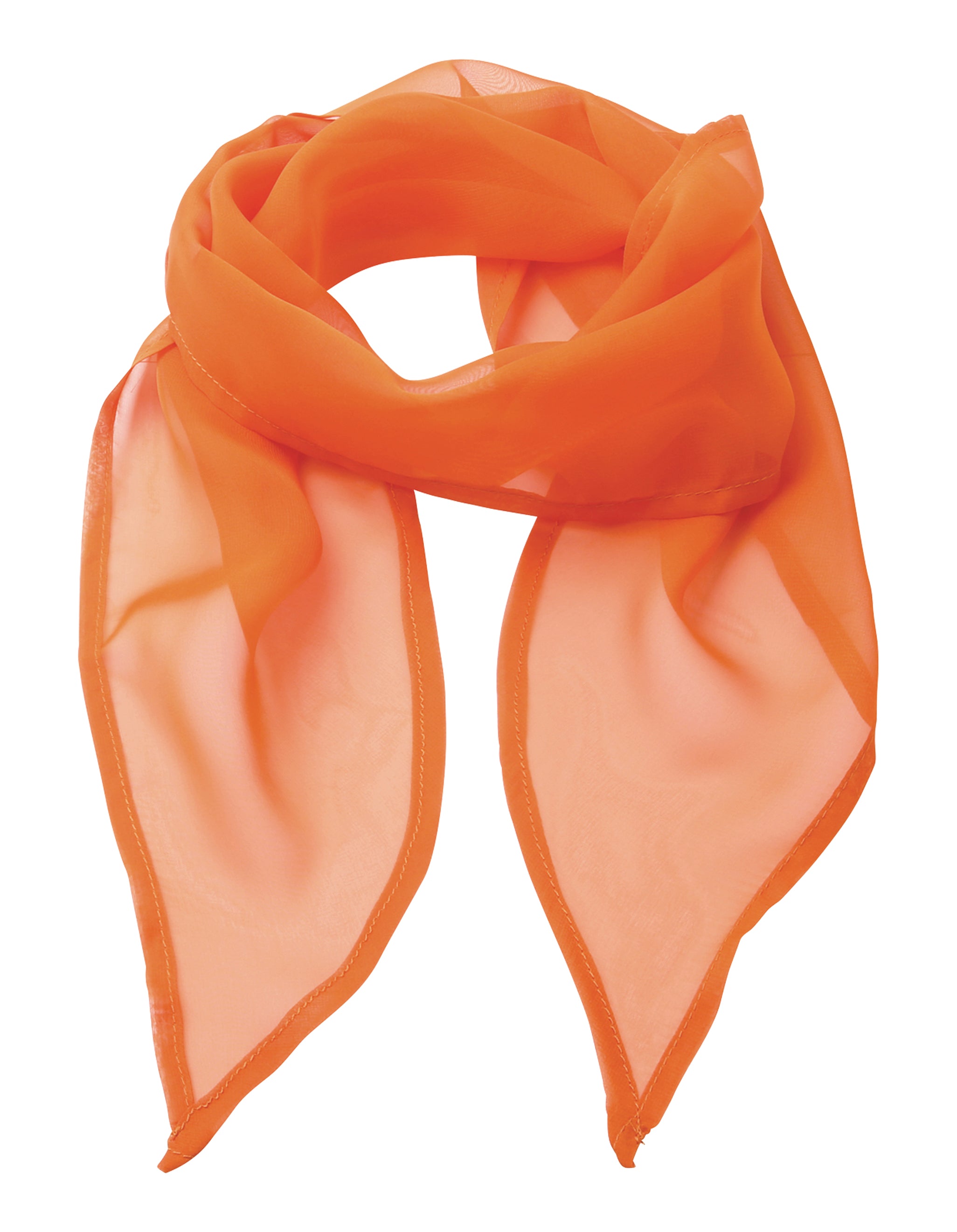 Chiffon Scarf