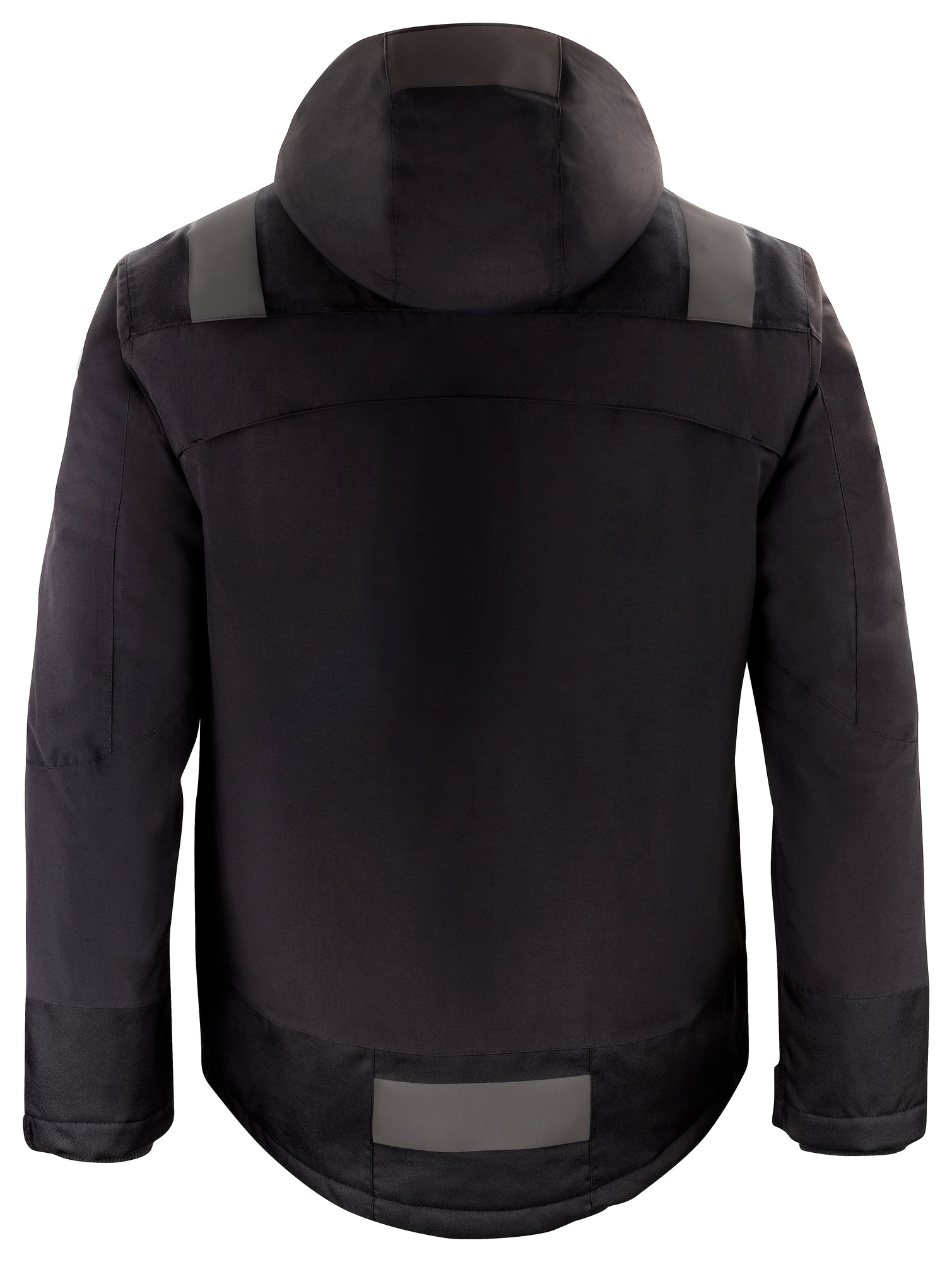 Winter Jacket