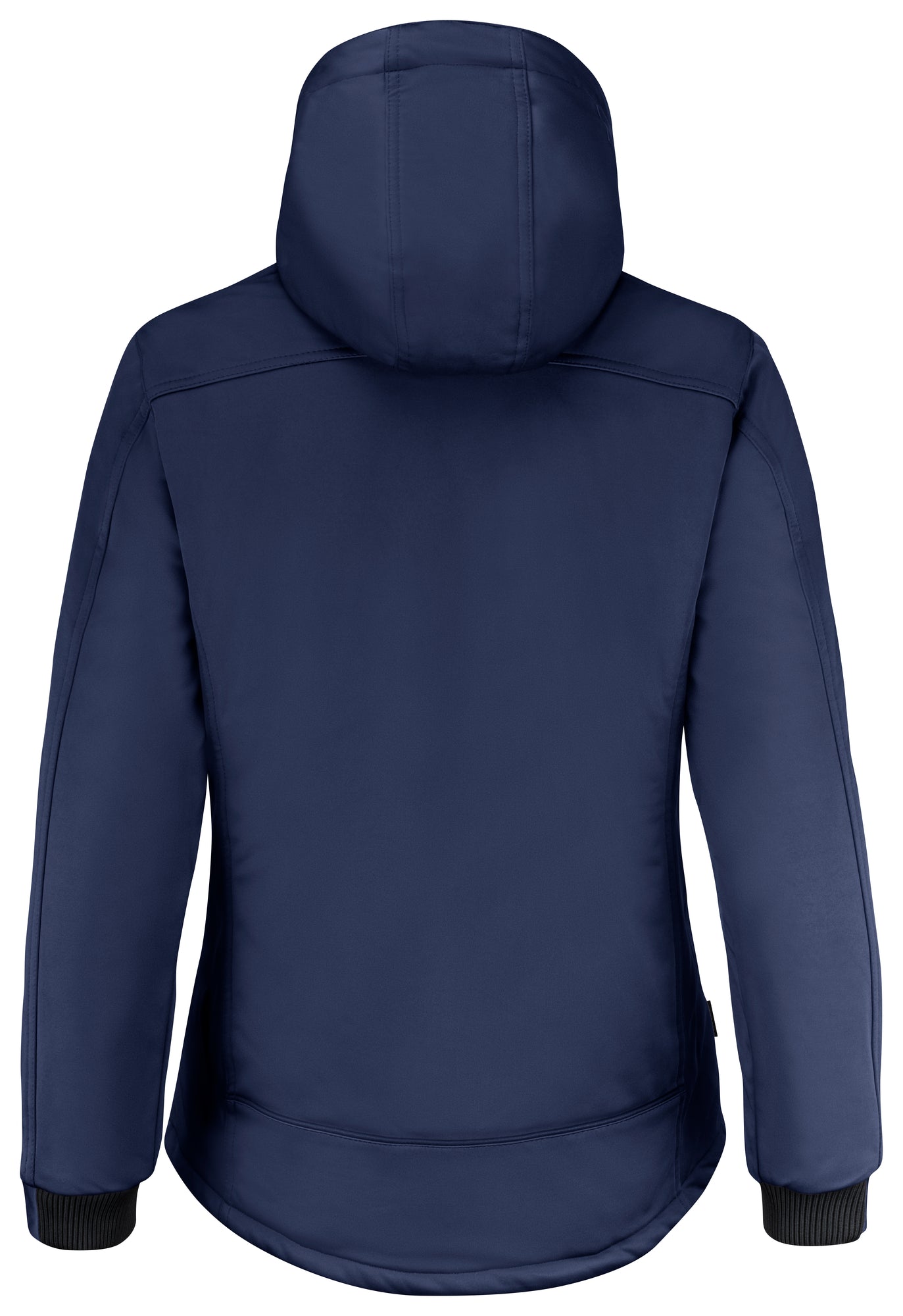 Winter Jacket Softshell W