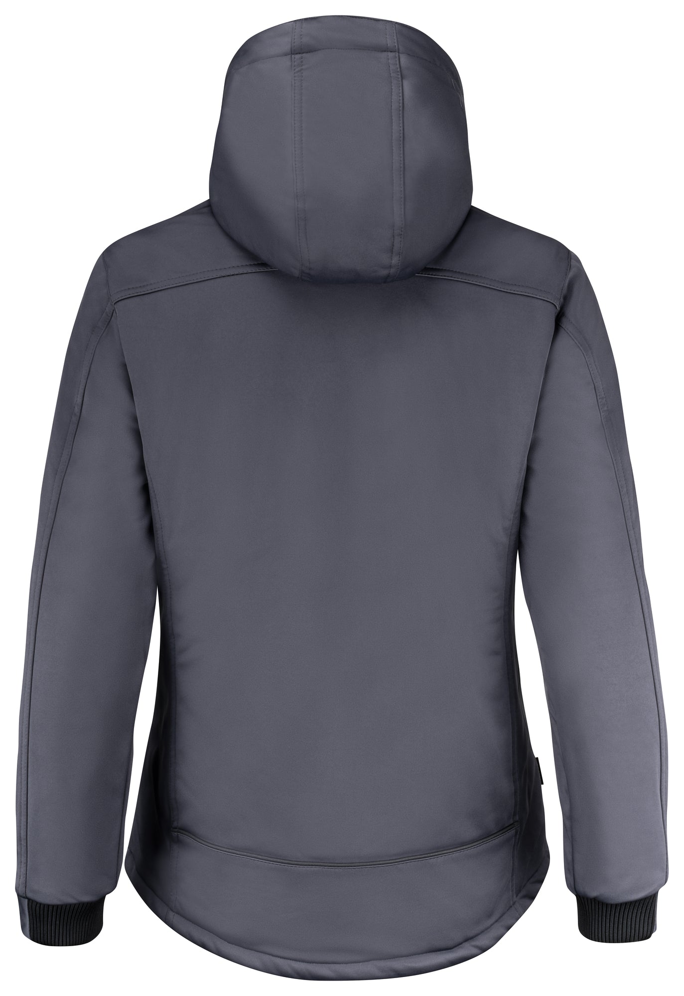 Winter Jacket Softshell W
