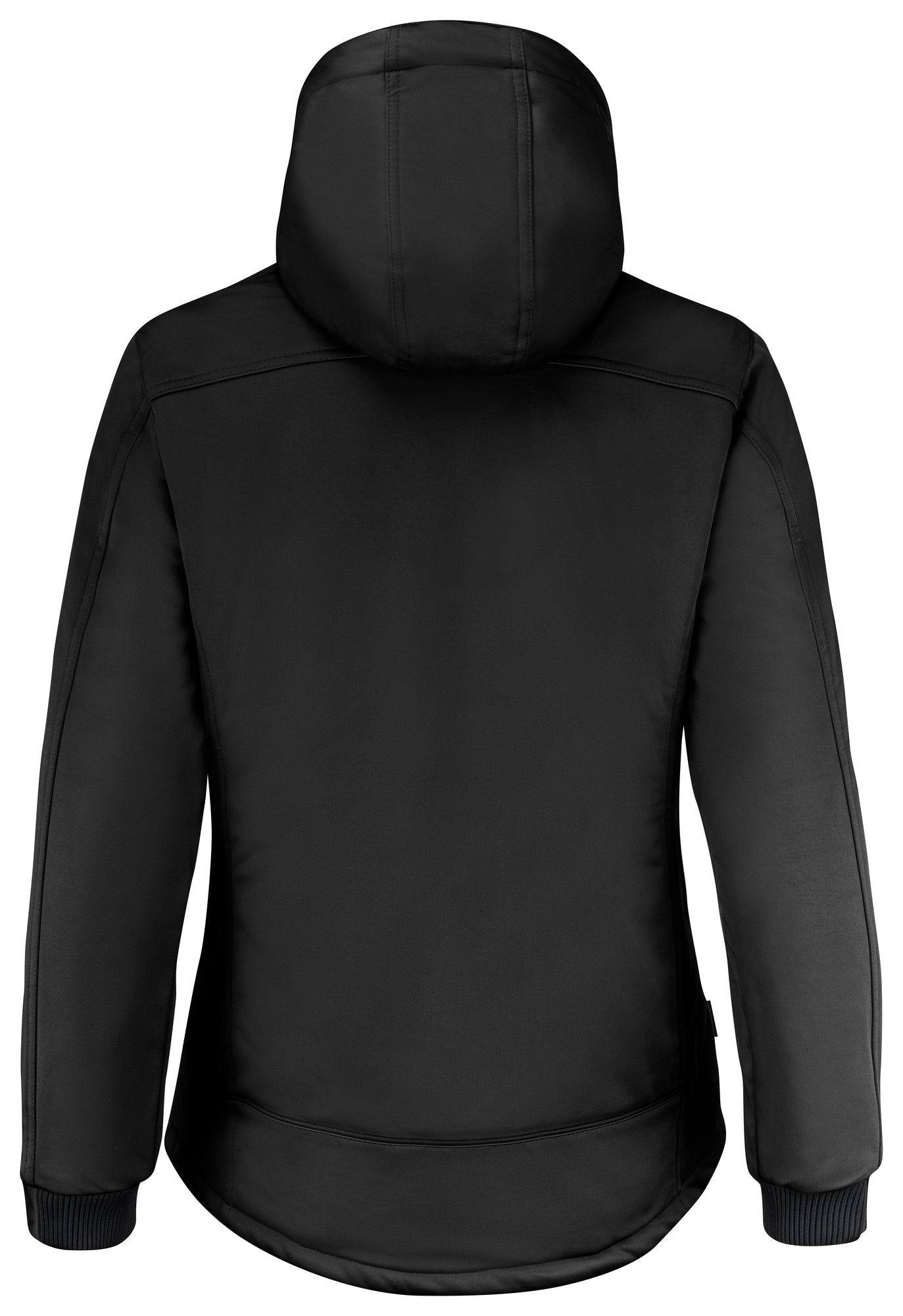 Winter Jacket Softshell W