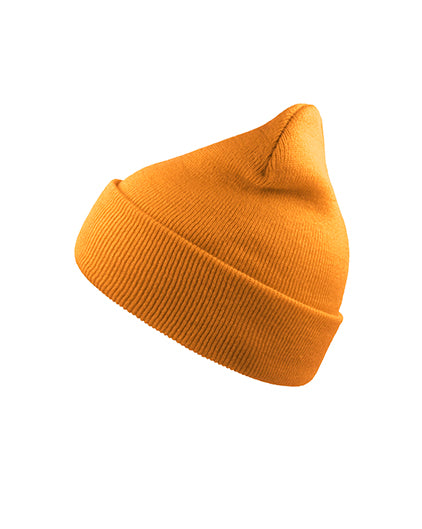 Wind Beanie