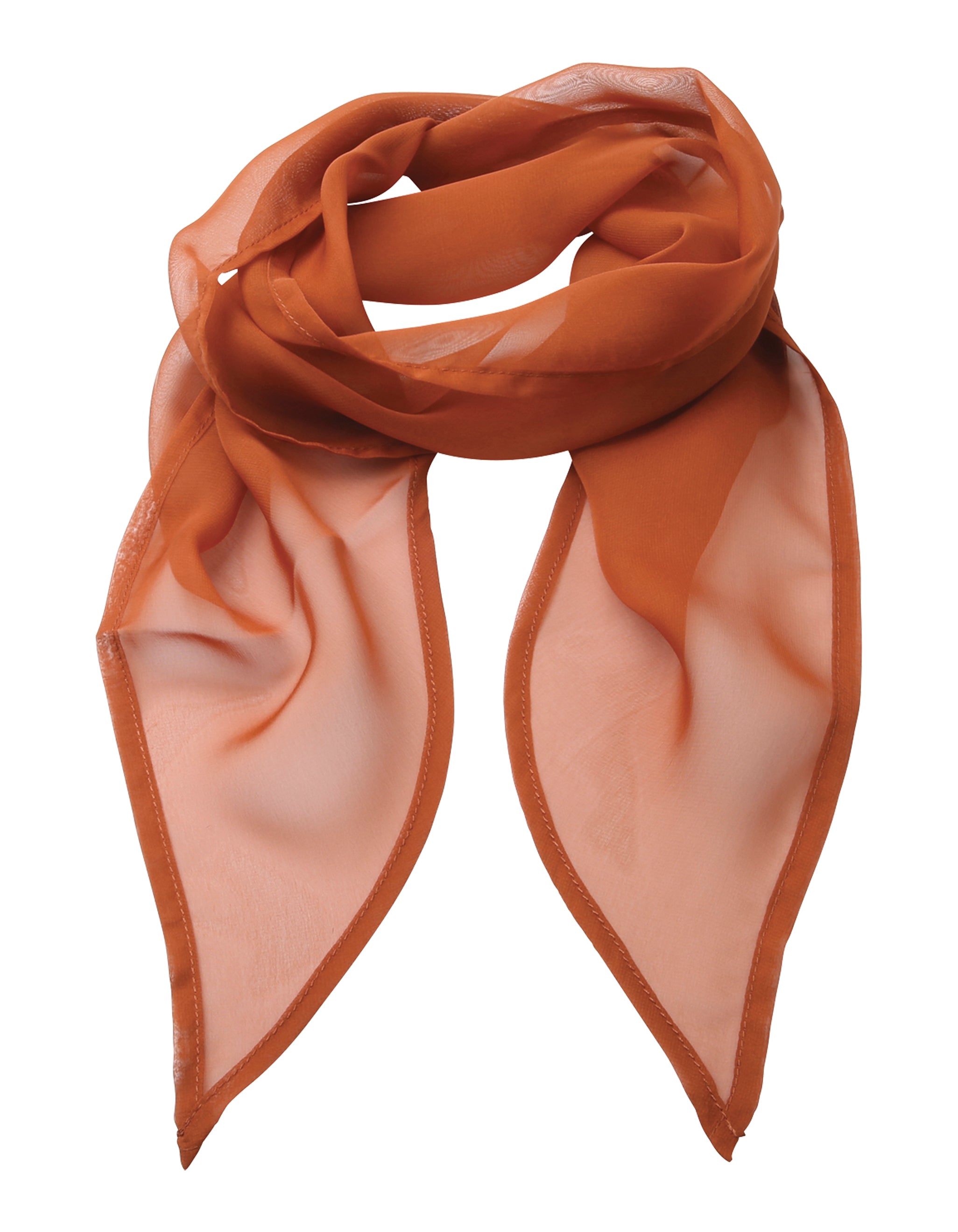 Chiffon Scarf