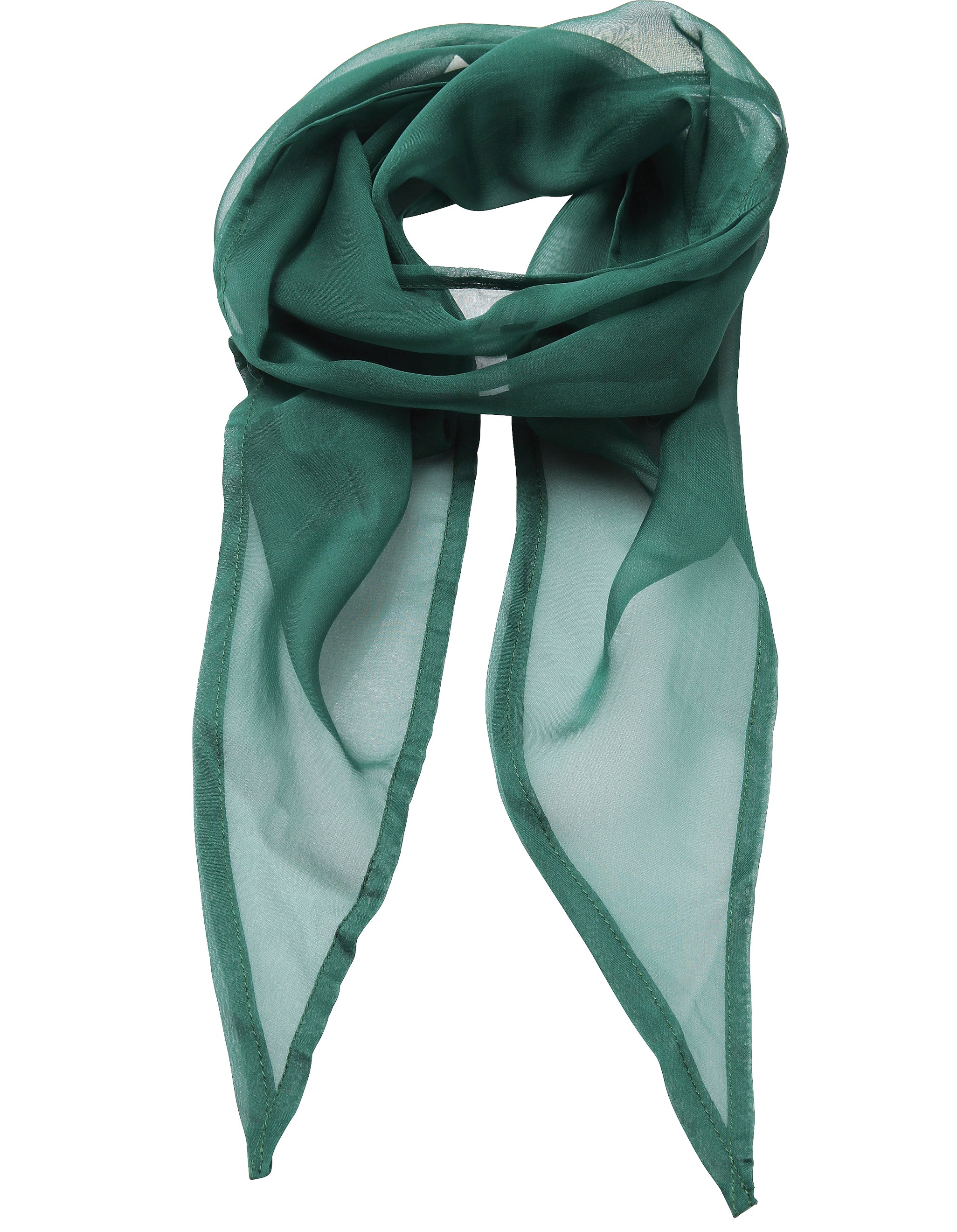 Chiffon Scarf