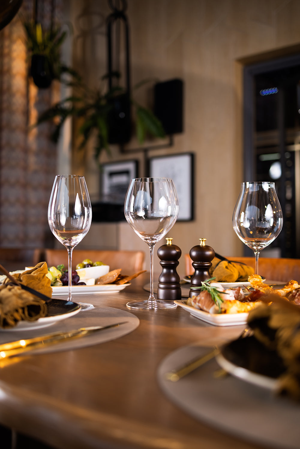 Performance Pinot Noir 2 stk. - QR688467