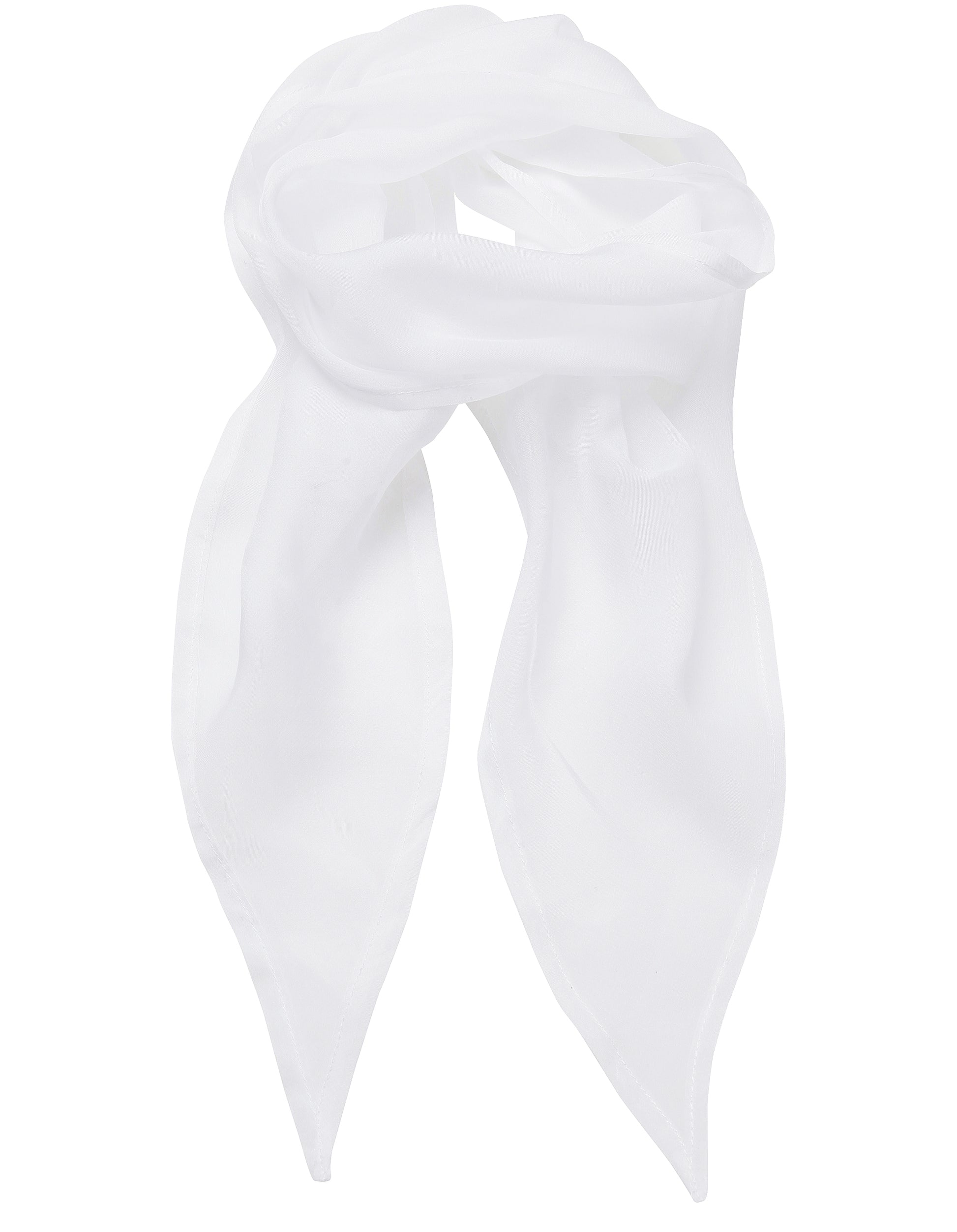 Chiffon Scarf - P740