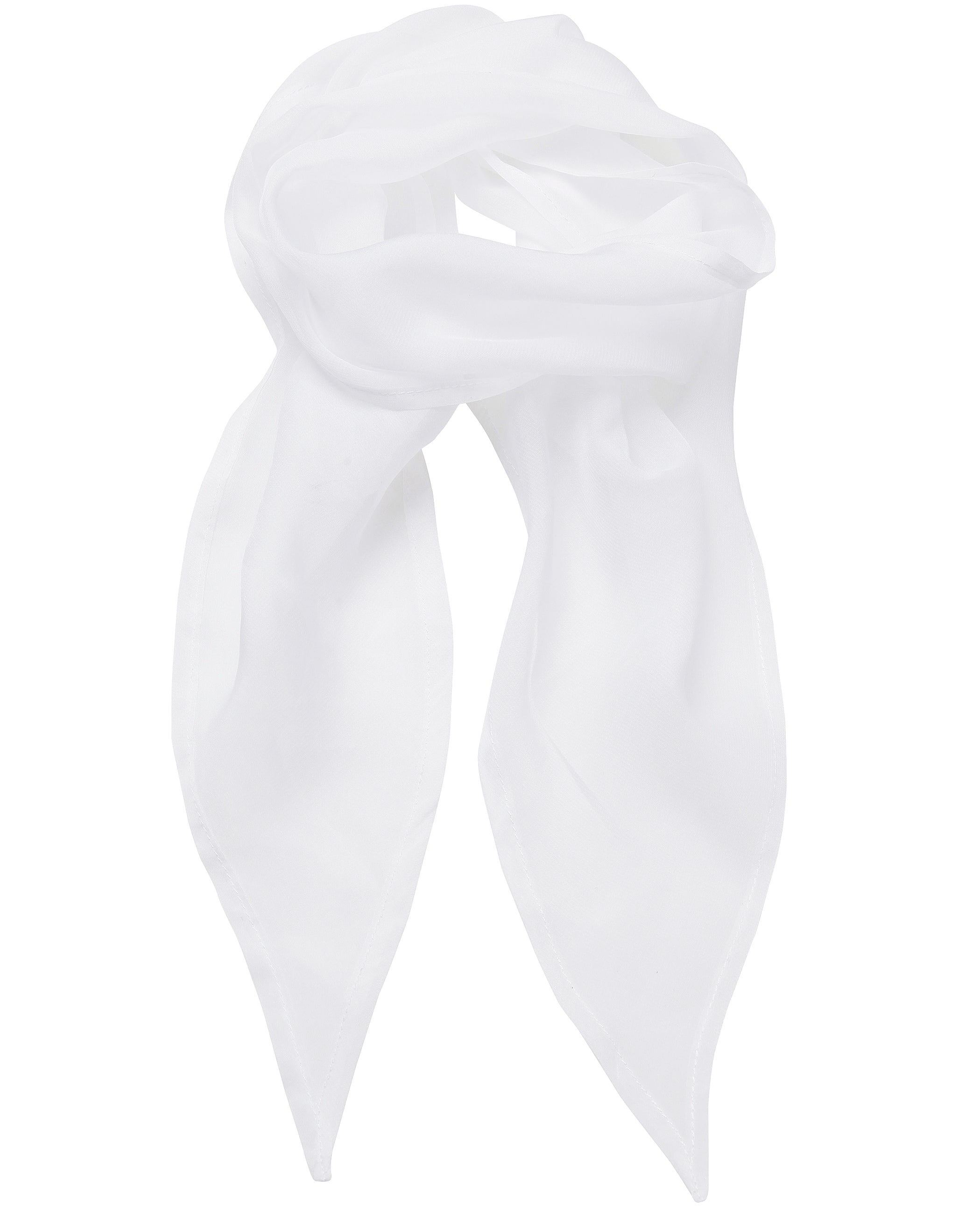 Chiffon Scarf - P740