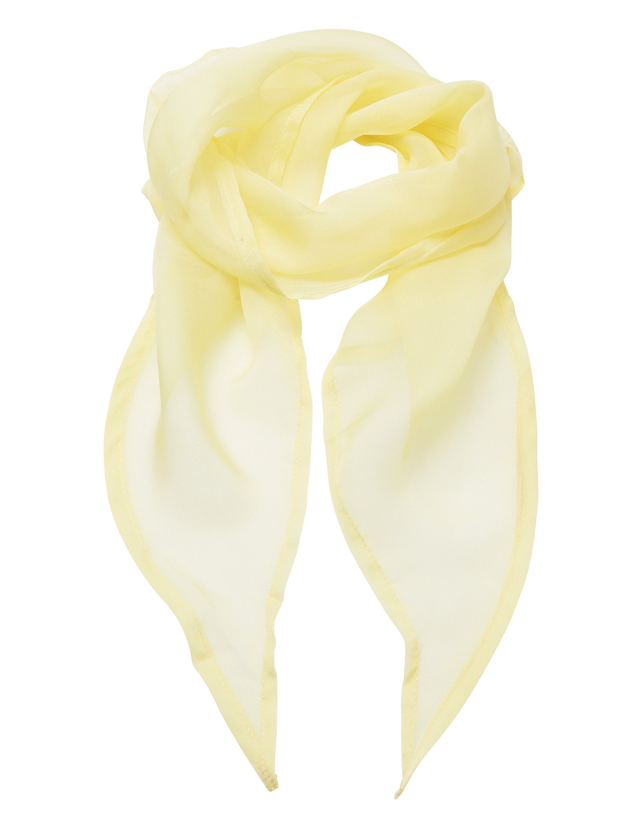 Chiffon Scarf