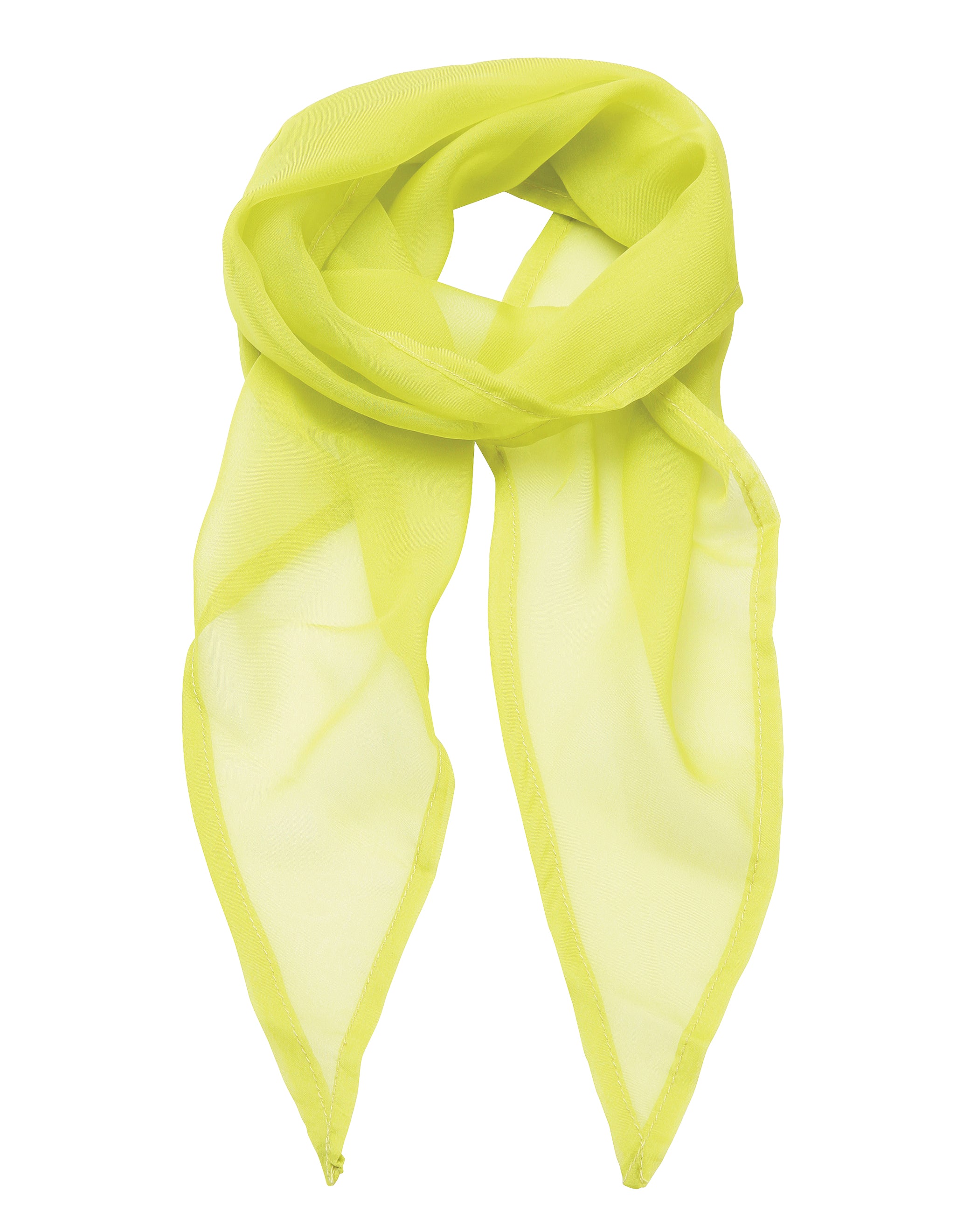 Chiffon Scarf