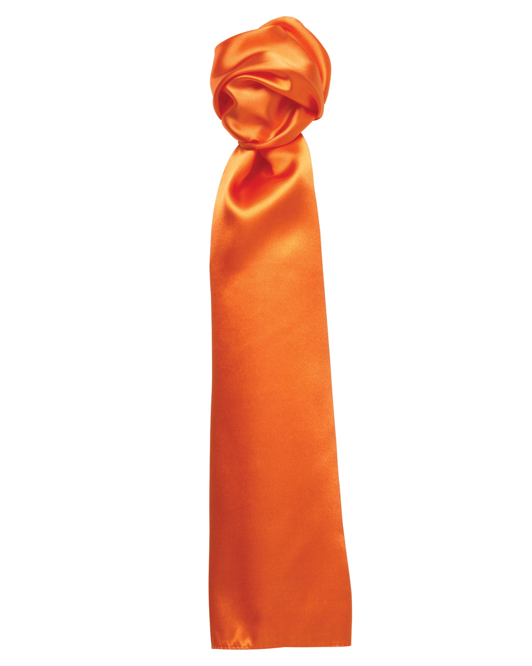 Women's Business Scarf