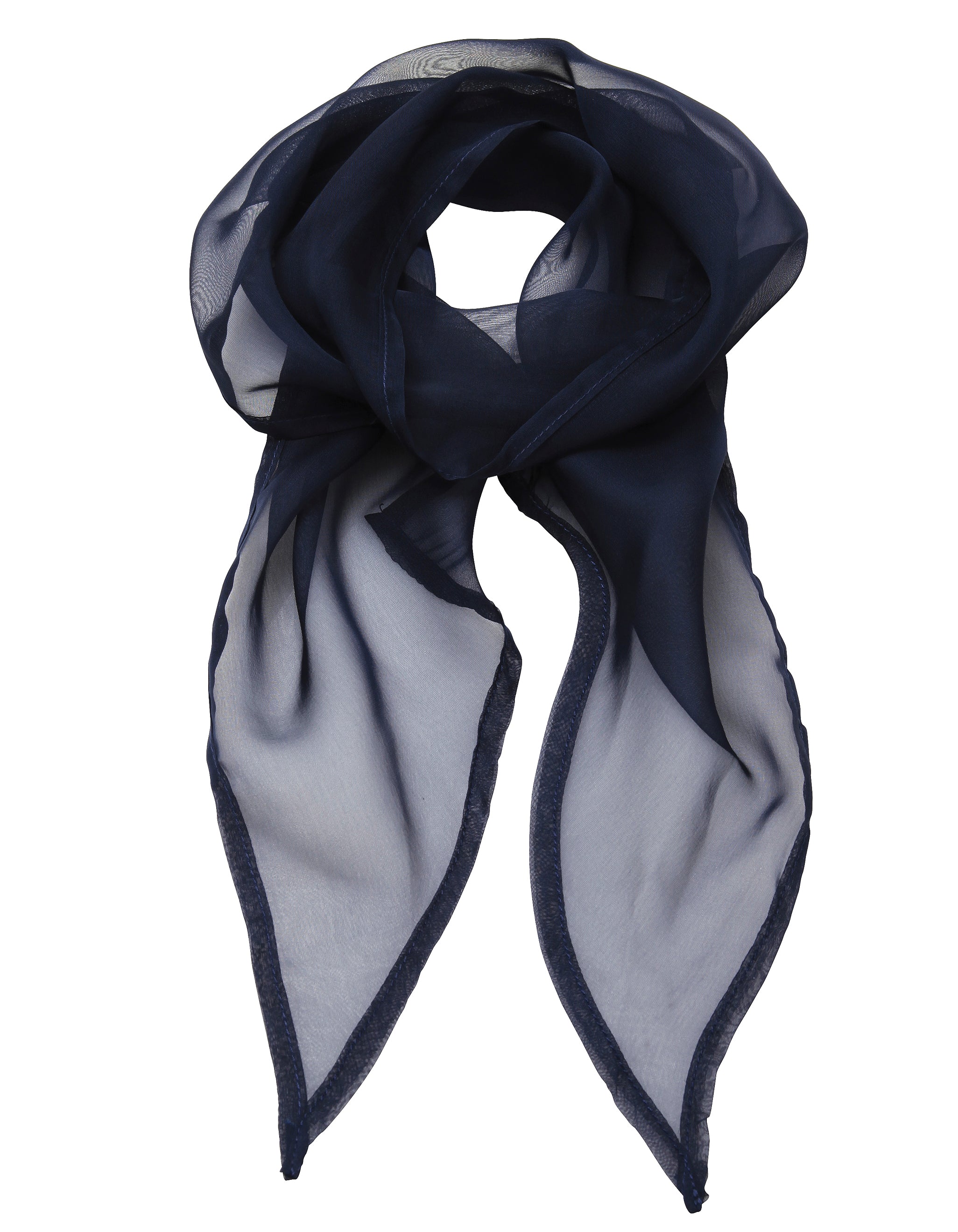 Chiffon Scarf